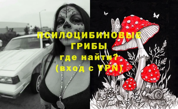 гашик Мегион