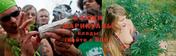 прущие грибы Медногорск
